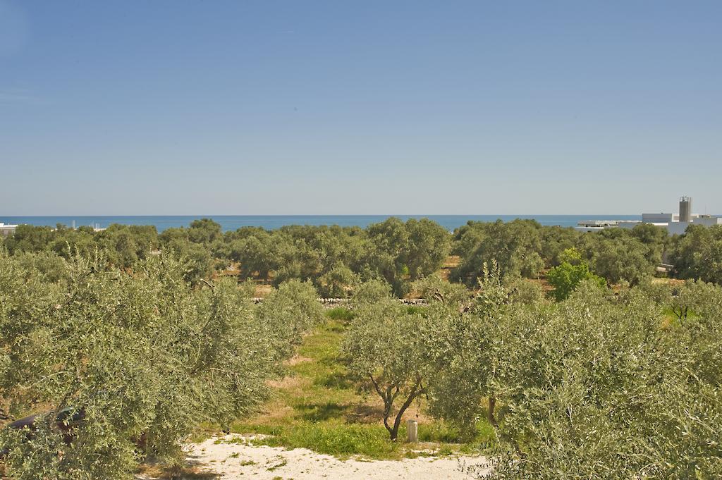 Masseria Spina Monopoli