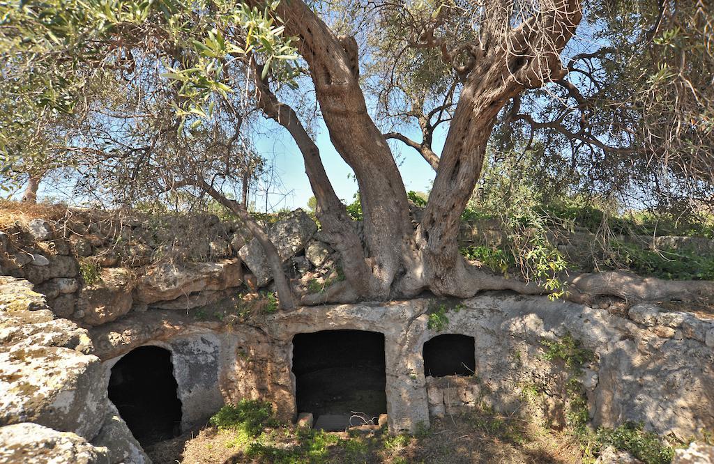 Séjour à la campagne Masseria Spina *