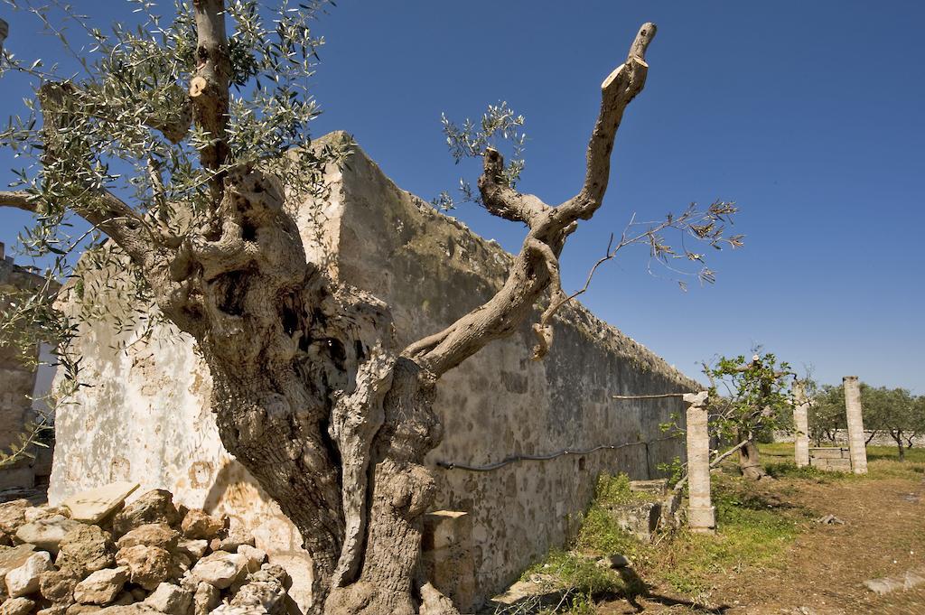 Country house Masseria Spina *